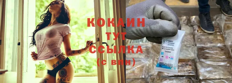 shop состав  Бавлы  Кокаин Fish Scale  где можно купить наркотик 